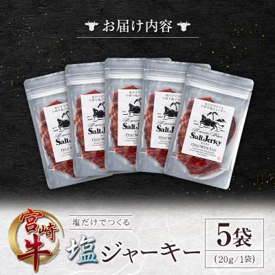 ふるさと納税 宮崎県 塩だけでつくる 宮崎牛 塩ジャーキー 5袋(20g×5袋)ブランド牛 ビーフジャーキー おつまみ |  | 02