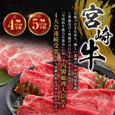 ふるさと納税 宮崎県 塩だけでつくる 宮崎牛 塩ジャーキー 5袋(20g×5袋)ブランド牛 ビーフジャーキー おつまみ |  | 03