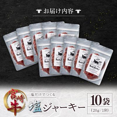 ふるさと納税 宮崎県 塩だけでつくる 宮崎牛 塩ジャーキー 10袋(20g×10