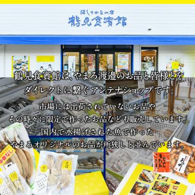 ふるさと納税 佐伯市 <訳あり> 厳選 干物 お試し版 (総量10枚) |  | 01