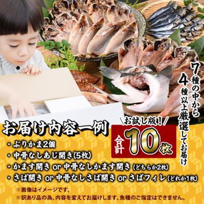 ふるさと納税 佐伯市 <訳あり> 厳選 干物 お試し版 (総量10枚) |  | 02
