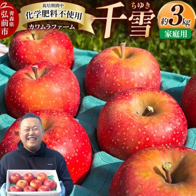 ふるさと納税 弘前市 りんご 千雪 家庭用 約3kg カワムラファーム|24_kmf-130301