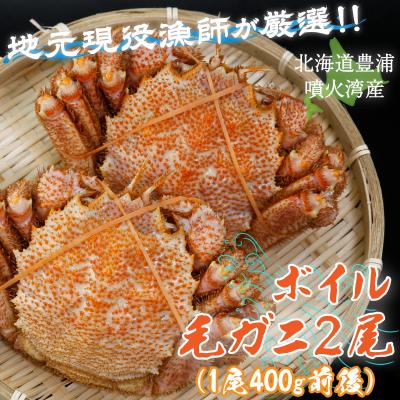 ふるさと納税 豊浦町 [令和8年度発送先行受付]ボイル・毛ガニ2尾 (1尾400g前後) 毛ガニ 冷蔵