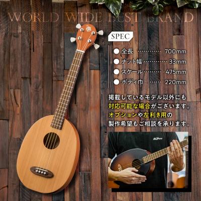 ふるさと納税 可児市 ヤイリギター　一五一会　奏生(アコースティックギター)　 |  | 01