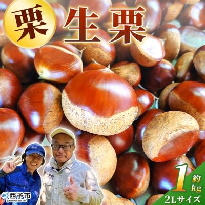 ふるさと納税 西予市 <奥伊予の栗サイズ 大粒 大きい 甘い 生栗 和栗 マロン くり 城川ファクトリー >