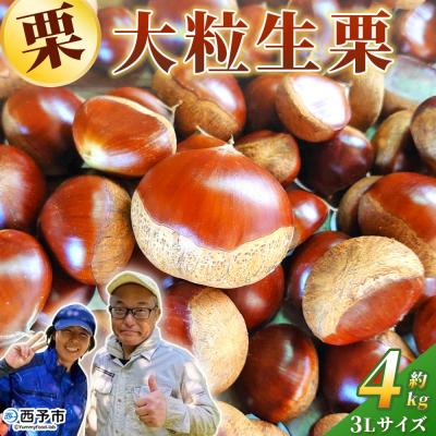 ふるさと納税 西予市 大粒生栗 3Lサイズ 約4kg 大きい 甘い国産 産地直送 城川ファクトリー