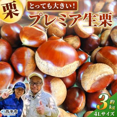 ふるさと納税 西予市 とっても大きい!プレミア生栗 4Lサイズ 約3kg 大きい 甘い国産 産地直送 城川ファクトリー