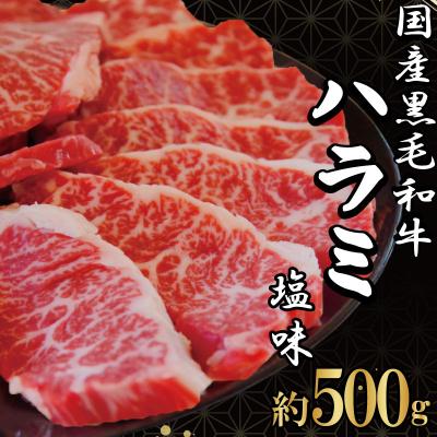 ふるさと納税 小松島市 ハラミ 国産 冷凍 黒毛和牛 500g 特選 黒毛和牛 牛肉 焼肉 希少部位