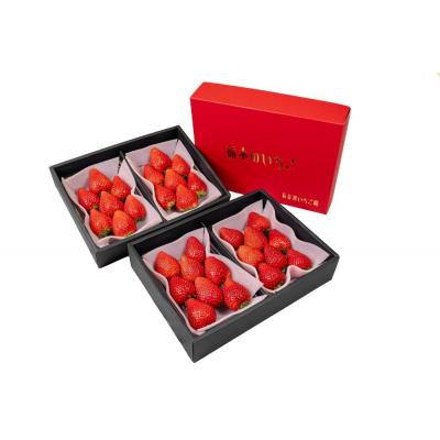 ふるさと納税 栃木市 甘くて大きい!長谷川いちご園 スカイベリー &amp; とちあいか セット 計4パック