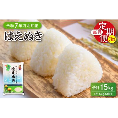 ふるさと納税 河北町 [令和7年産米]※2026年2月上旬開始※ はえぬき15kg(5kg×3ヶ月)定期便 山形県産