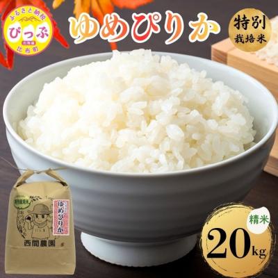 ふるさと納税 比布町 【令和8年産 新米先行受付】特別栽培米 ゆめ