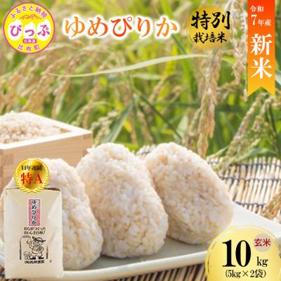 ふるさと納税 比布町 [先行受付][西間農園] 特別栽培米 ゆめぴりか みがき玄米 10kg[1月から2月上旬発送]