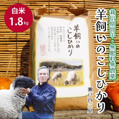 ふるさと納税 三原市 瀬戸内三原 羊飼いのこしひかり 白米 1.8kg(栽培期間中無肥料無農薬) [002-016]