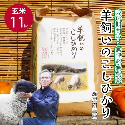 ふるさと納税 三原市 瀬戸内三原 羊飼いのこしひかり 玄米 11kg(栽培期間中無肥料無農薬) [002-011]