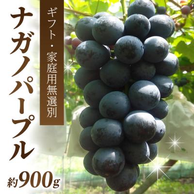 ふるさと納税 東御市 ナガノパープル 約900g(贈答・家庭用無選別) ※2026年8月中旬以降順次発送