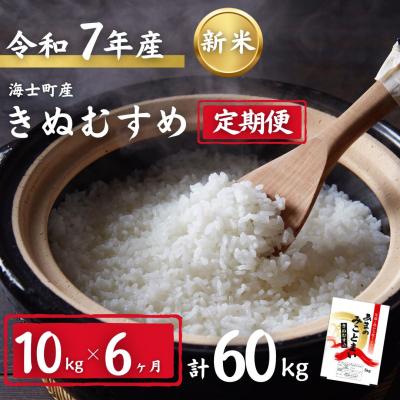 ふるさと納税 海士町 [定期便6ヵ月]計60kg!令和7年度新米きぬむすめ 10kg×6か月定期便 お米 新米 精米 白米