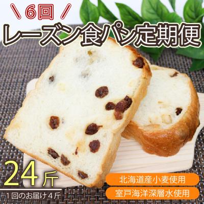 ふるさと納税 室戸市 [室戸海洋深層水仕込み]レーズン食パン年6回定期便