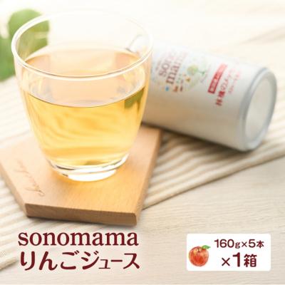 ふるさと納税 羽後町 りんごジュース「sonomama」(160g×5本)×1箱