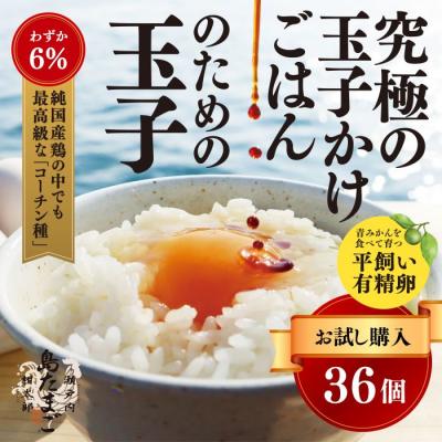 ふるさと納税 三原市 [お試し夏季]瀬戸内柑太郎『島たまご』平飼い有精卵 36個(34個+割れ補償2個)[017-071]