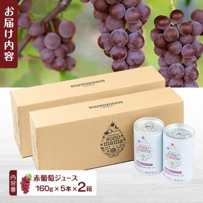 ふるさと納税 羽後町 赤葡萄ジュース「sonomama」(160g×5本)×2箱[No