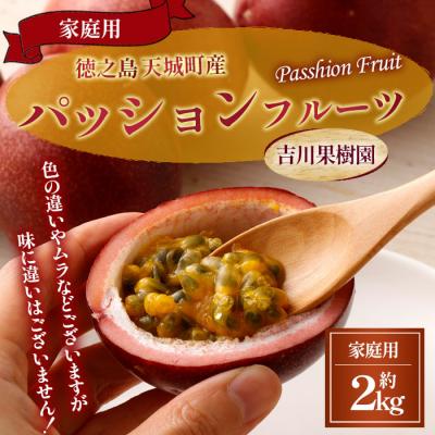 ふるさと納税 天城町 [2026年発送]徳之島 天城町 吉川果樹園 パッションフルーツ 家庭用 2kg トロピカルフルーツ
