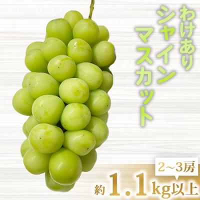 ふるさと納税 東御市 [先行受付2026年発送]わけありシャインマスカット約1.1kg(2〜3房)|清水農園