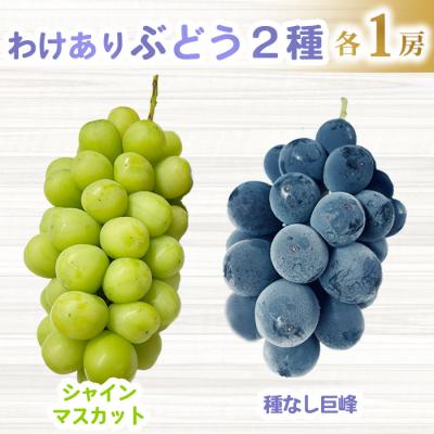 ふるさと納税 東御市 [先行受付2026年発送]わけあり2種のぶどうセット(シャインマスカット、種無し巨峰)各1房