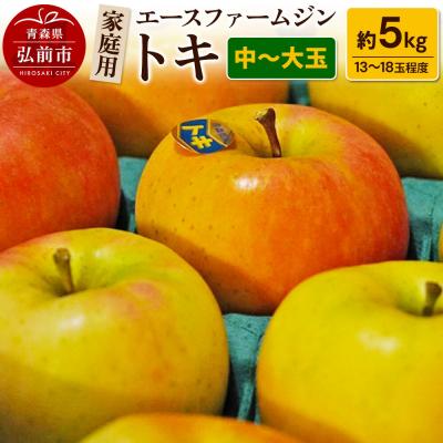 ふるさと納税 弘前市 りんごトキ 家庭用 約5kg(中玉〜大玉13〜18玉程度)|24_ace-010501