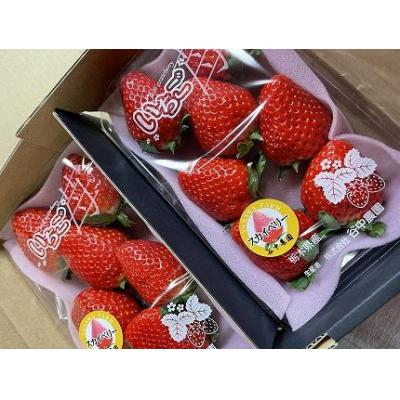 ふるさと納税 栃木市 [2025年12月下旬〜発送]谷中農園の スカイベリー いちご[約280g×2パック]