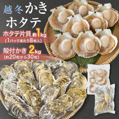 ふるさと納税 石巻市 ホタテ片貝 越冬殻付かき 贅沢セット 加熱用 牡蠣 かき カキ 帆立 ホタテ ほたて 片貝 殻付き