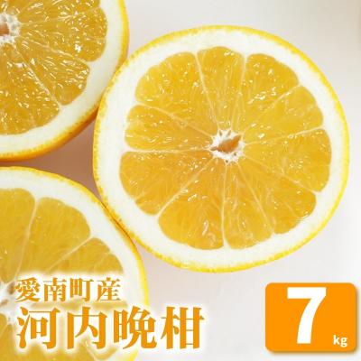 ふるさと納税 愛南町 先行受付 河内晩柑 7kg 愛南ゴールド 愛媛県 愛南町 山口農園