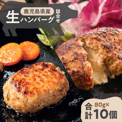 ふるさと納税 鹿児島市 鹿児島県産黒豚 生ハンバーグ詰合せ