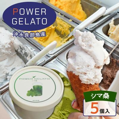 ふるさと納税 和泊町 POWER GELATO 沖永良部島産 シマ桑 90ml×5個入り