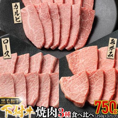 ふるさと納税 大府市 下村牛 焼肉 3種食べ比べセット 750g 焼き肉 牛肉 お肉 冷凍 BBQ キャンプ アウトドア