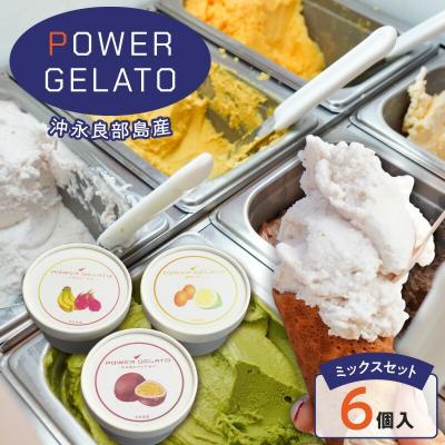 ふるさと納税 和泊町 POWER GELATO 沖永良部島産 ミックスセット 6個入り