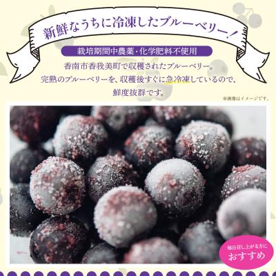 ふるさと納税 香南市 完熟 冷凍ブルーベリー 約600g(200g×3) 小分け yg-0027 |  | 01