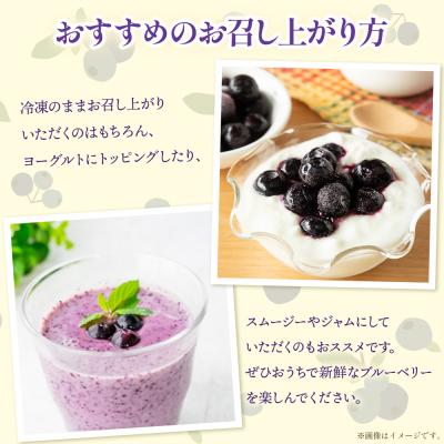 ふるさと納税 香南市 完熟 冷凍ブルーベリー 約600g(200g×3) 小分け yg-0027 |  | 02