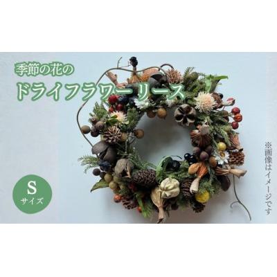 ふるさと納税 小山町 季節の花のドライフラワー リース Sサイズ