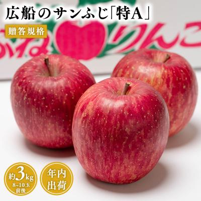 ふるさと納税 平川市 年内 贈答規格 広船のサンふじ 約3kg「特A」[広船アップルクラブ・平川市広船産・青森りんご]