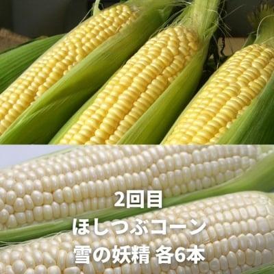 ふるさと納税 美瑛町 野菜 定期便 3回便【令和9年産先行受付】北海道 野菜 黒木農場 |  | 02