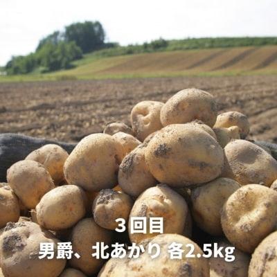 ふるさと納税 美瑛町 野菜 定期便 3回便【令和9年産先行受付】北海道 野菜 黒木農場 |  | 03