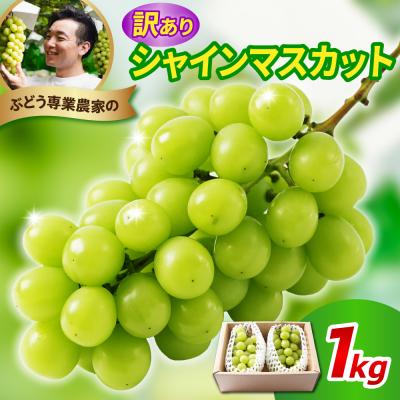 ふるさと納税 米沢市 令和8年産 訳あり シャインマスカット 1kg | 