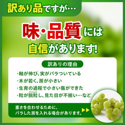 ふるさと納税 米沢市 令和8年産 訳あり シャインマスカット 1kg |  | 01