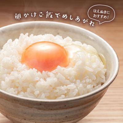 ふるさと納税 米沢市 令和7年産 はえぬき 10kg ( 5kg × 2袋 ) 精米 |  | 01