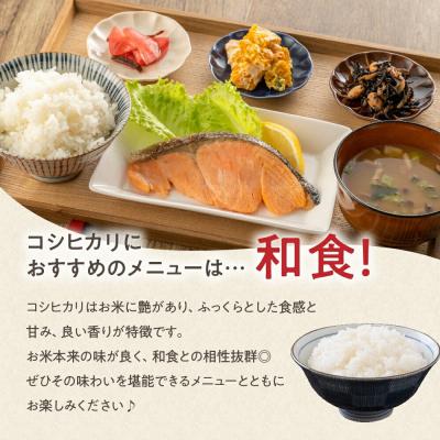 ふるさと納税 米沢市 令和7年産 コシヒカリ 10kg ( 5kg × 2袋 ) 精米