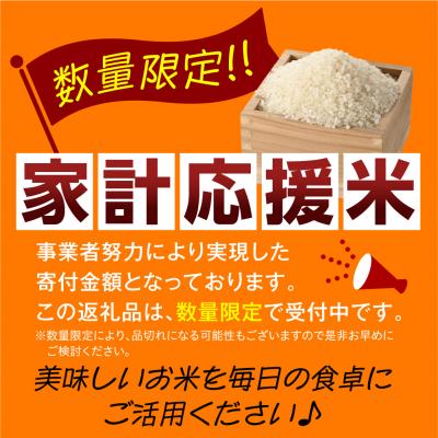 ふるさと納税 米沢市 令和7年産 雪若丸 10kg ( 5kg × 2袋 ) 精米