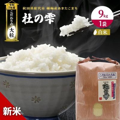 ふるさと納税 能代市 新米 令和7年産 精米 あきたこまち 杜の雫 9kg 1袋 