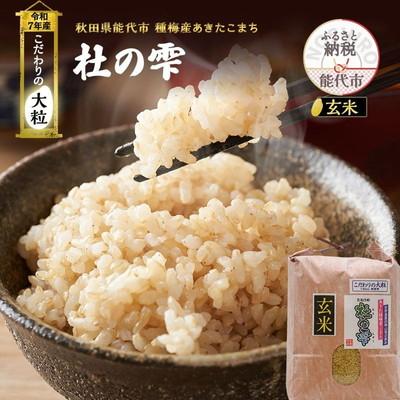 ふるさと納税 能代市 新米 定期便3ヶ月 玄米 あきたこまち 杜の雫 5kg×3回