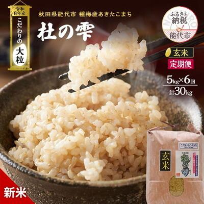 ふるさと納税 能代市 先行予約 新米 玄米 定期便6ヶ月 あきたこまち 5kg 計30kg 