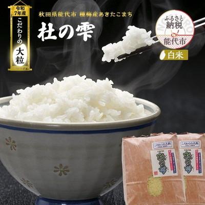 ふるさと納税 能代市 新米 令和7年産 精米 あきたこまち 杜の雫 9kg 白米